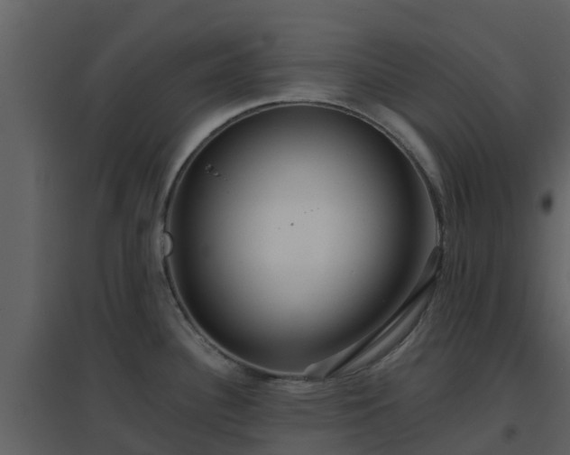 X0000096711340200802121216