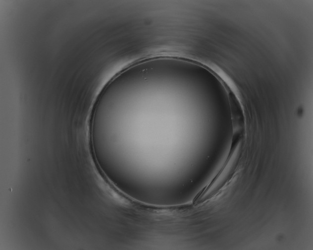 X0000096711341200802121216