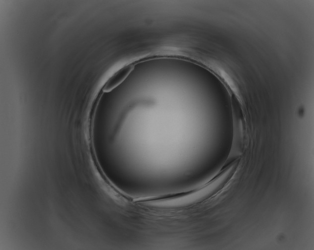 X0000096711342200802121216