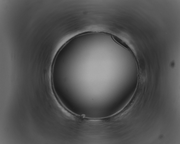 X0000096711343200802121217