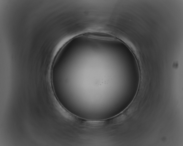 X0000096711344200802121217