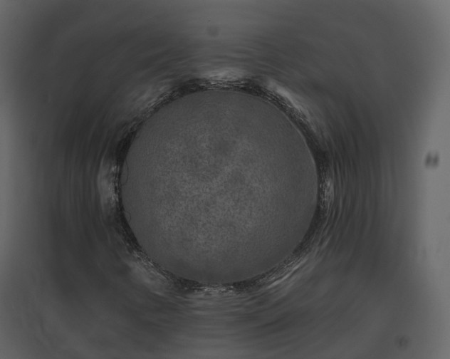 X0000096711346200802121216