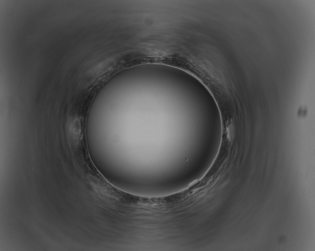 X0000096711347200802121216