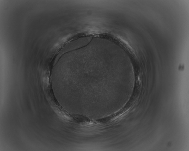 X0000096711348200802121216