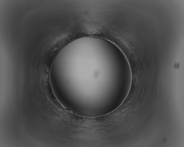 X0000096711349200802121216