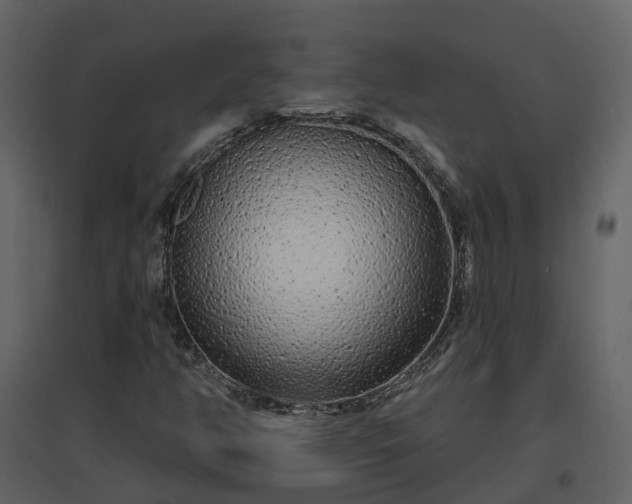 X0000096711350200802121216