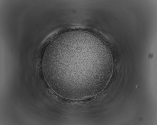 X0000096711351200802121216