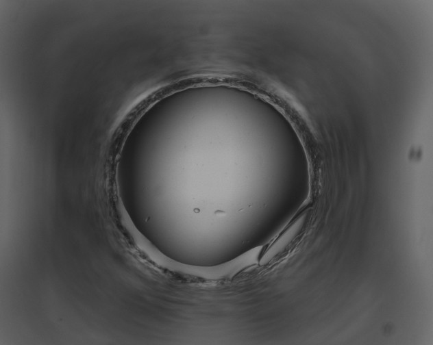 X0000096711352200802121216