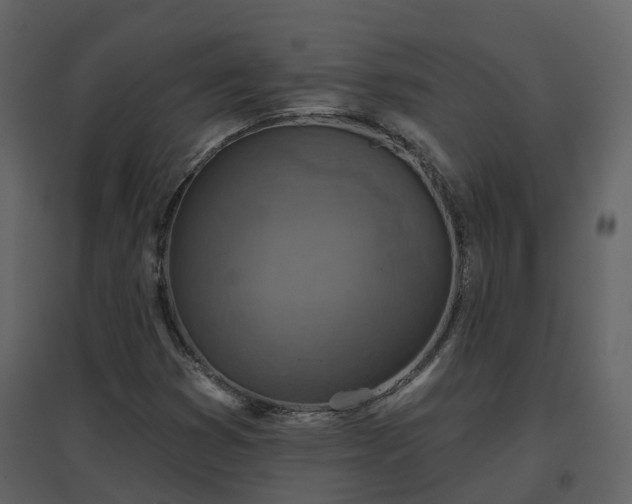 X0000096711353200802121216