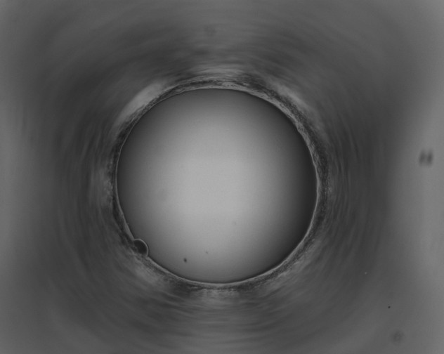 X0000096711354200802121216