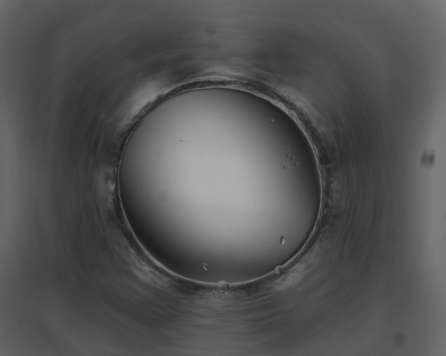 X0000096711355200802121216