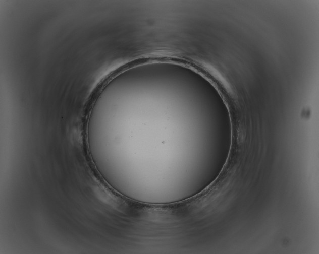 X0000096711356200802121216