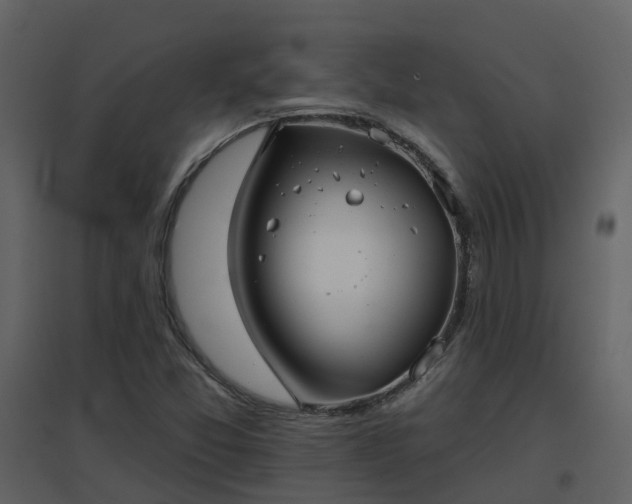 X0000096711357200802121216