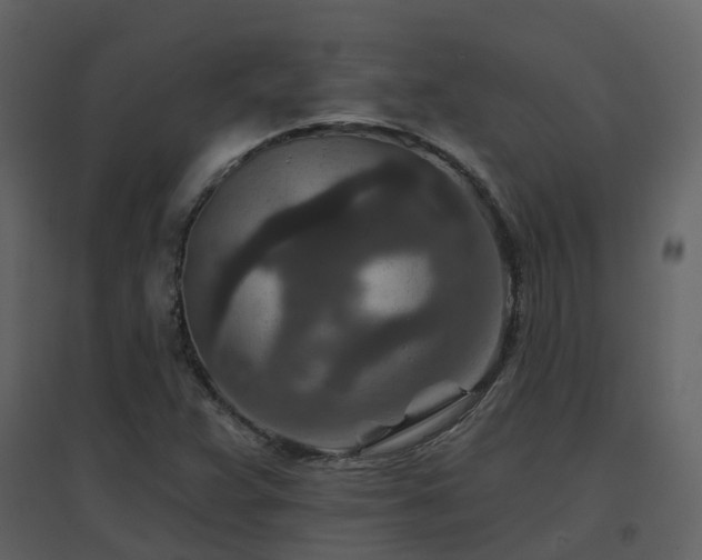 X0000096711359200802121216