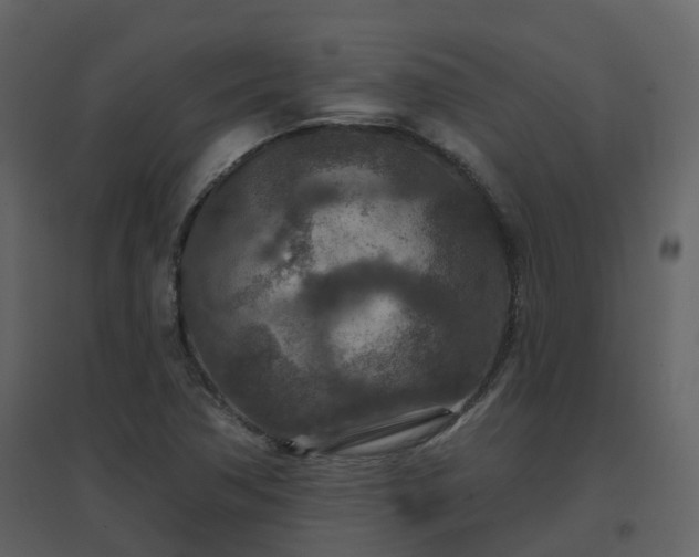 X0000096711362200802121216