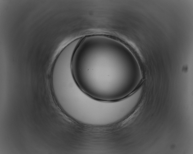 X0000096711365200802121216