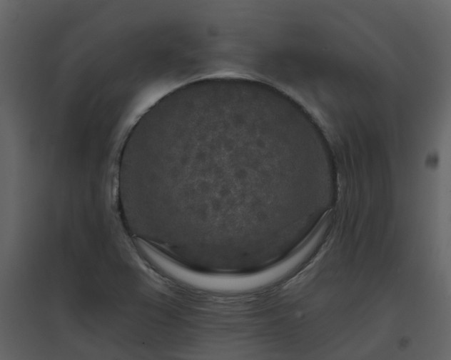 X0000096711367200802121215