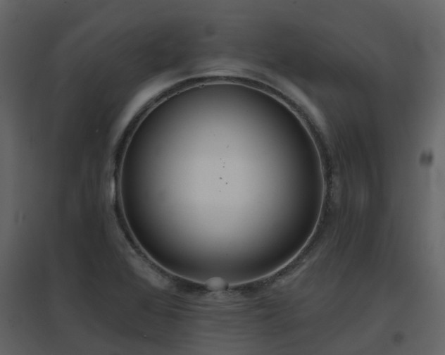 X0000096711368200802121215