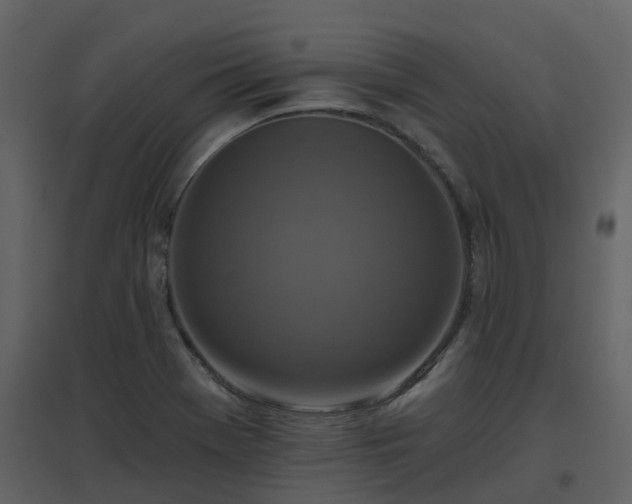 X0000096711369200802121215