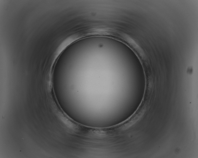 X0000096711370200802121215