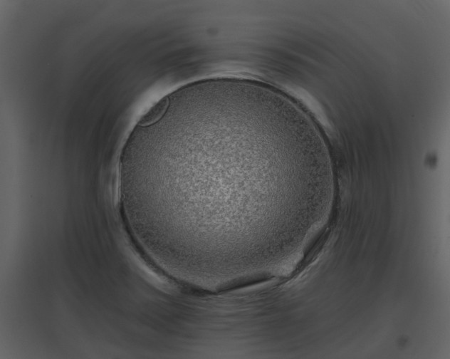 X0000096711371200802121215