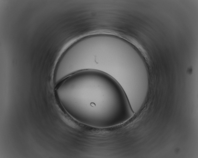 X0000096711372200802121215