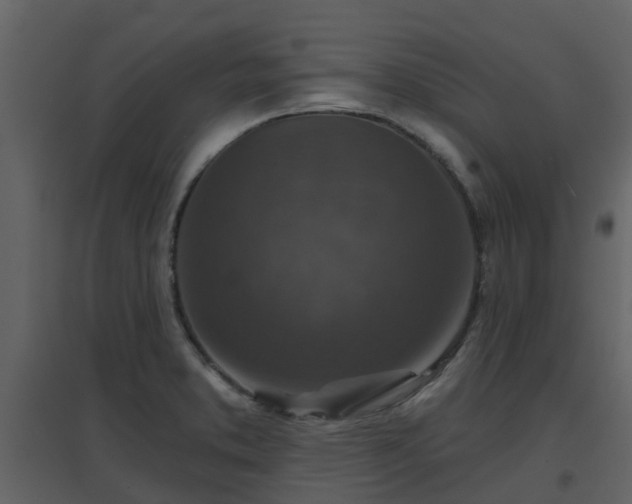 X0000096711373200802121215