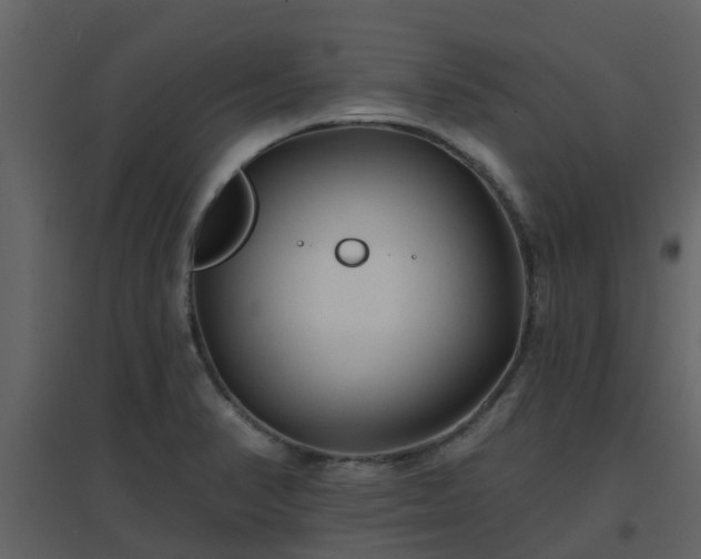 X0000096711374200802121215