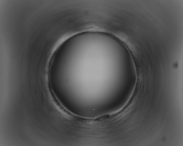 X0000096711375200802121215