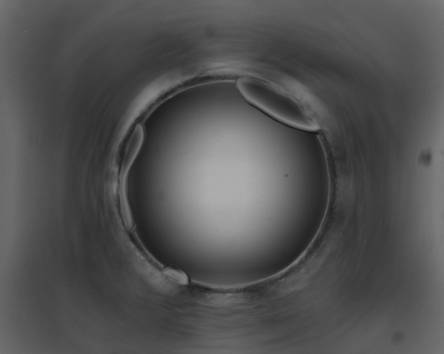 X0000096711376200802121215