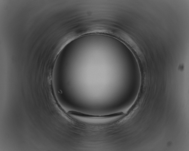 X0000096711377200802121215