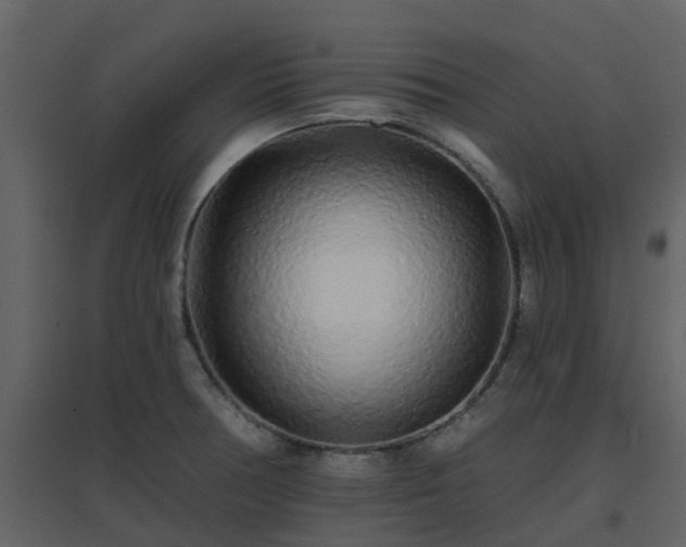 X0000096711378200802121215