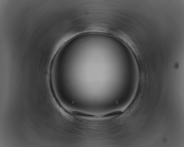 X0000096711379200802121215