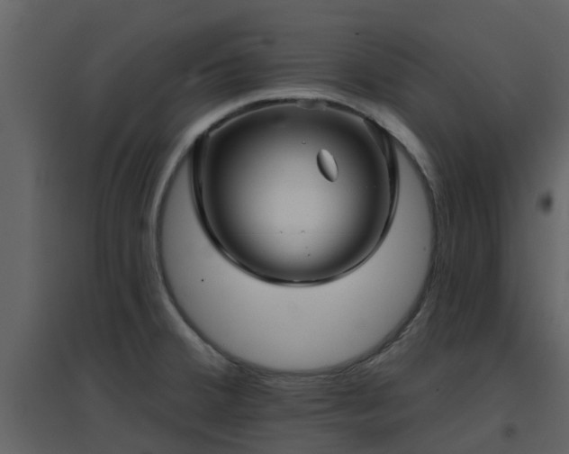 X0000096711380200802121215