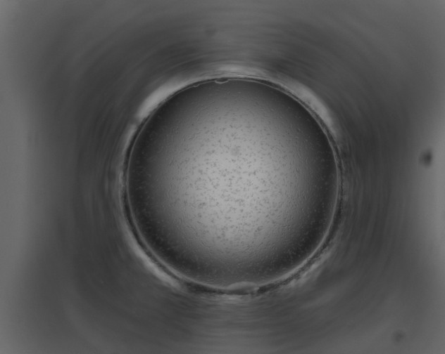 X0000096711381200802121215