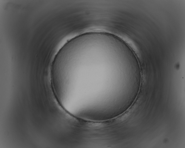 X0000096711382200802121215