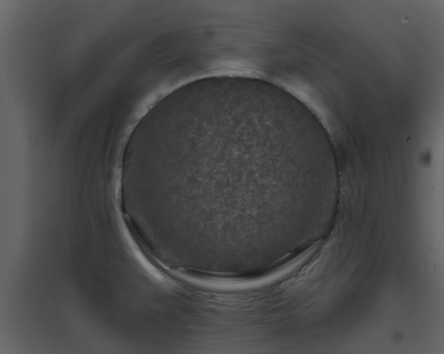 X0000096711383200802121215