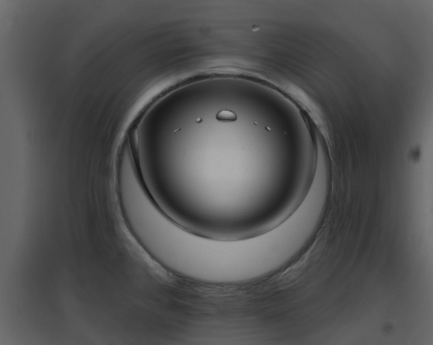 X0000096711384200802121215