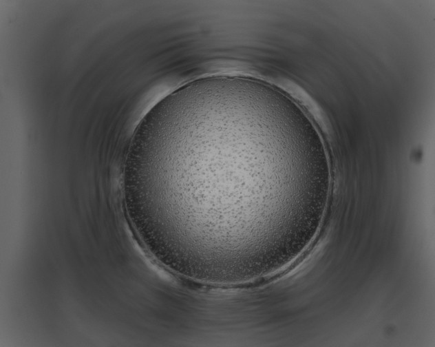 X0000096711385200802121215