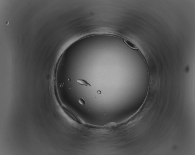 X0000096711387200802121215