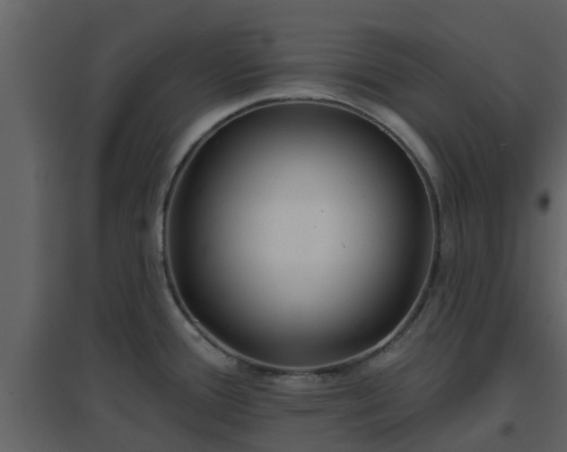 X0000096711388200802121215