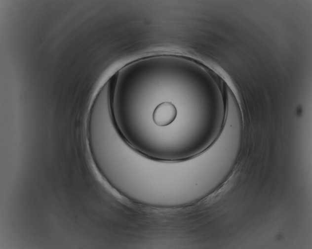 X0000096711389200802121215