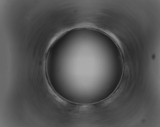 X0000096711390200802121215