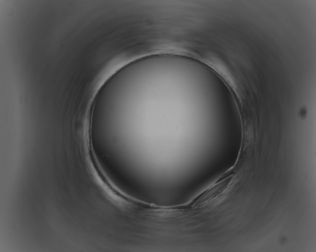 X0000096711391200802121215