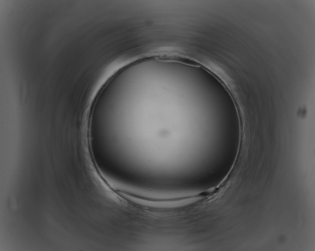 X0000096711392200802121215