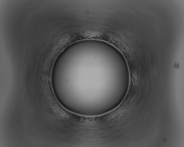 X0000096711393200802121214