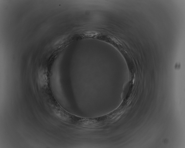 X0000096711394200802121214