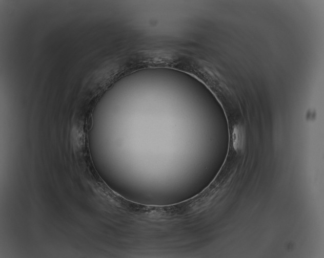 X0000096711395200802121214