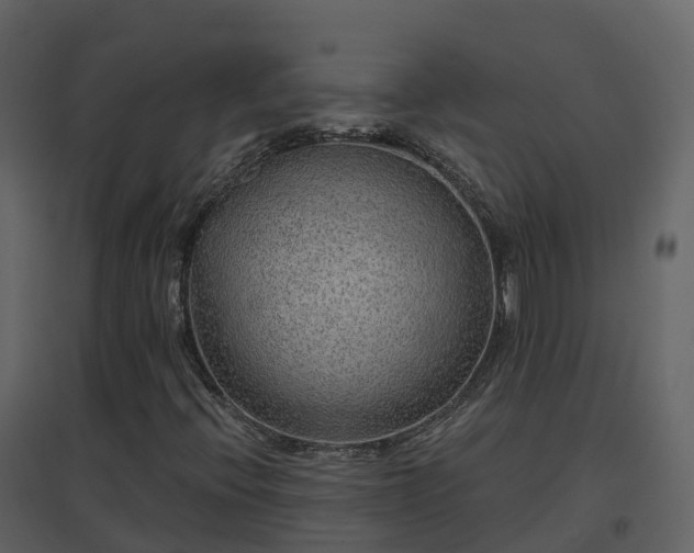 X0000096711396200802121214