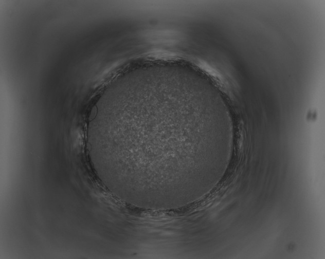 X0000096711397200802121215